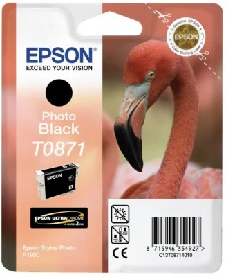 Картридж с черными фото чернилами Epson T0871 (C13T08714010) в Москве Картридж с черными фото чернилами Epson T0871 (C13T08714010) в Москве