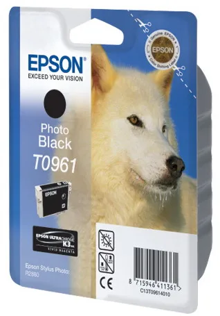 Картридж с черными фото чернилами Epson T0961 (C13T09614010) в Москве Картридж с черными фото чернилами Epson T0961 (C13T09614010) в Москве